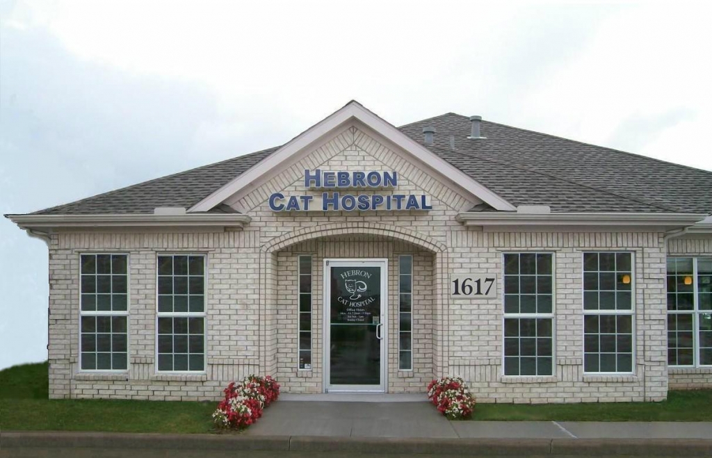 Hebron Cat Hospital in Carrollton, TX Home